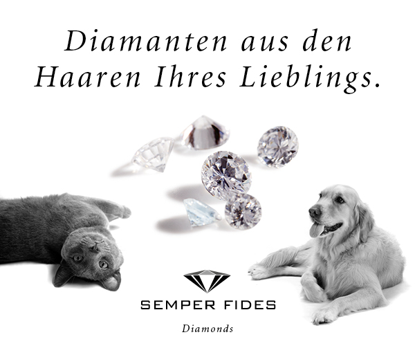 Semper Fides Banner