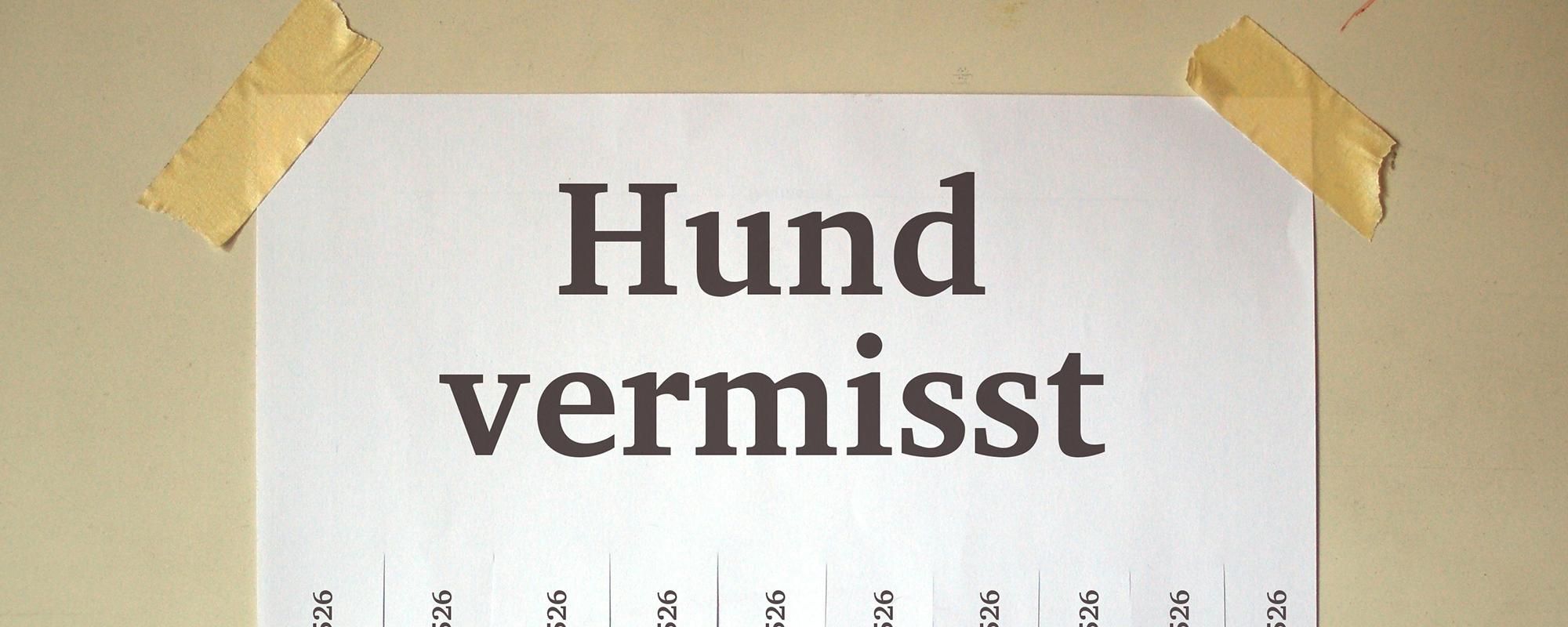 Hund vermisst Hund entlaufen - was tun