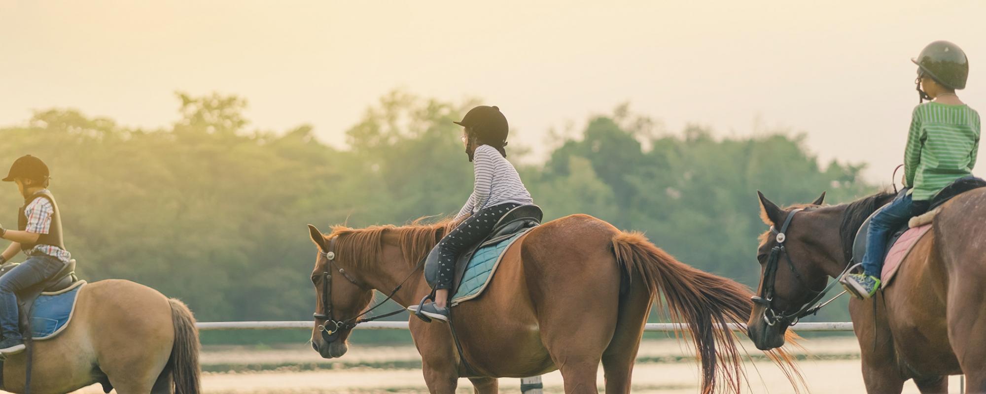 reiten lernen