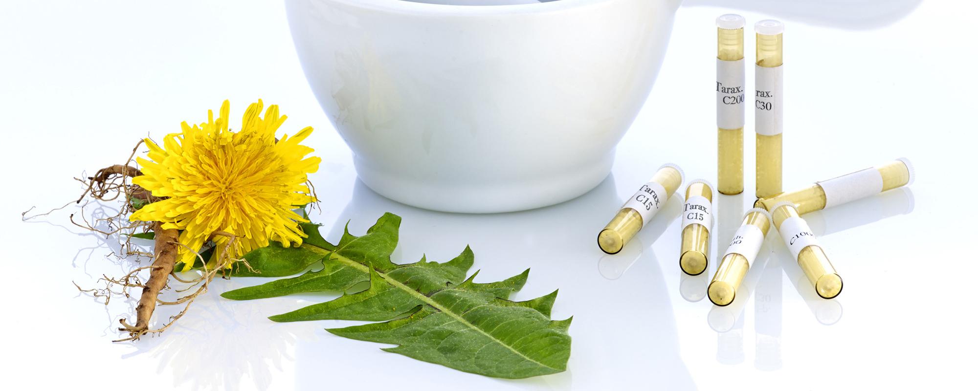 homöopathie Durchfallerkrankungen bei Hund und Katze können homöopathisch behandelt werden