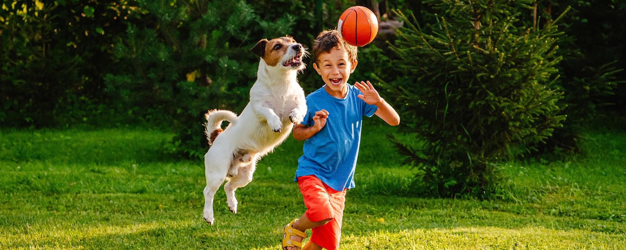 hund und kind spielen mit ball Tipps zum Spielen mit dem Hund