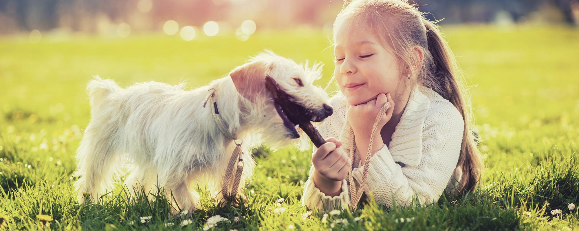 Was Kinder von Hunden lernen können
