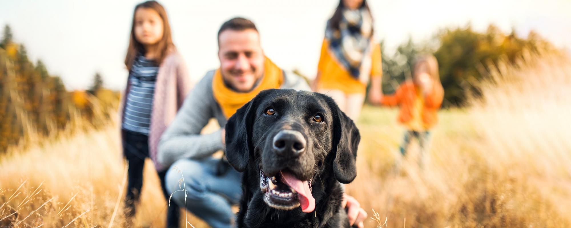 hund-mit-familie