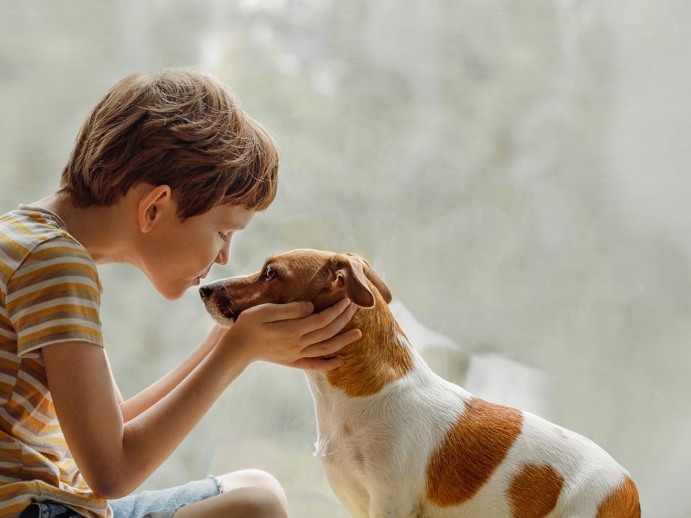 Kinder und Hunde – Regeln zum richtigen Umgang